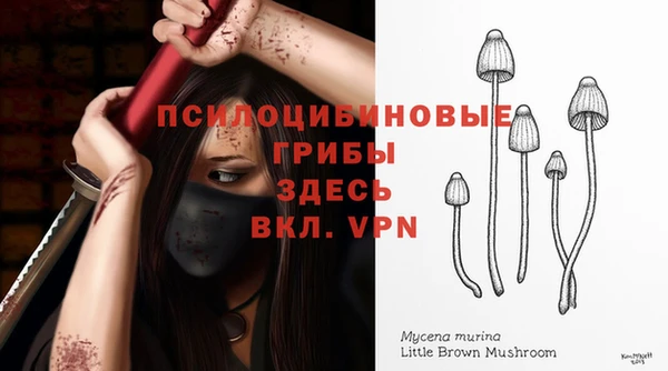 ALPHA-PVP Арсеньев