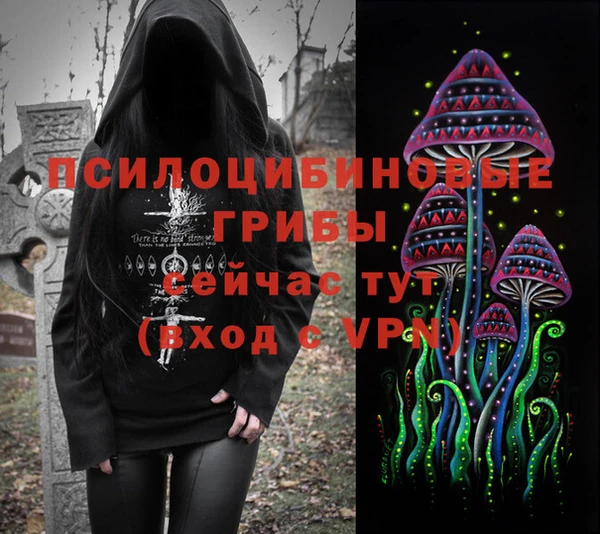 стаф Армянск