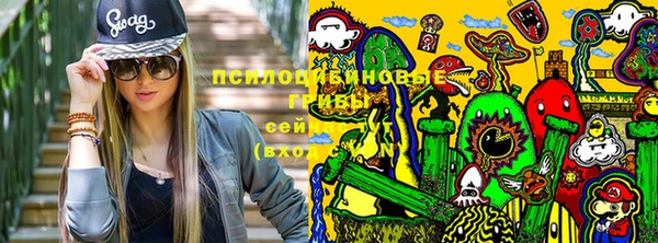 стаф Армянск