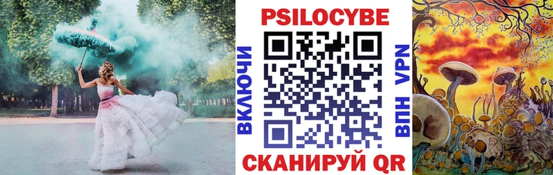 Псилоцибиновые грибы Psilocybe Лесозаводск