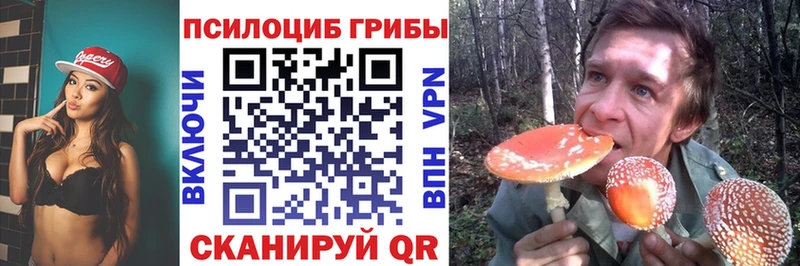 Псилоцибиновые грибы Psilocybine cubensis  что такое наркотик  Лесозаводск 
